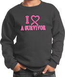 Kids Breast Cancer Sweatshirt I Heart a Survivor - Yoga Clothing for You