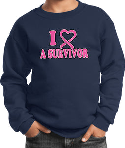 Kids Breast Cancer Sweatshirt I Heart a Survivor - Yoga Clothing for You