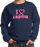 Kids Breast Cancer Sweatshirt I Heart a Survivor - Yoga Clothing for You