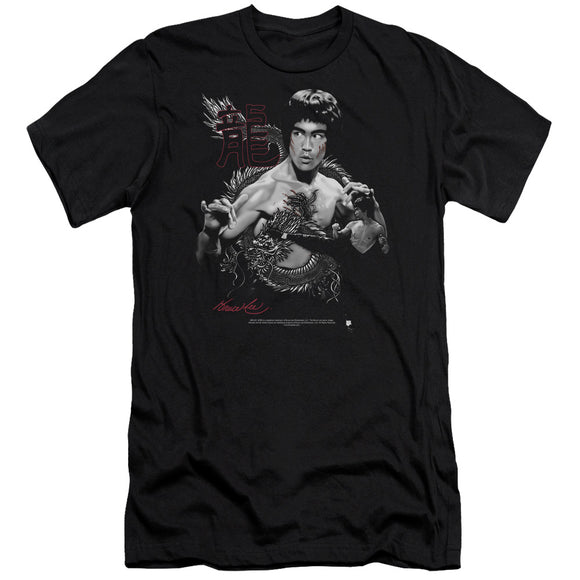 Bruce Lee The Dragon Two Poses Black Premium T-shirt - Yoga Clothing for You