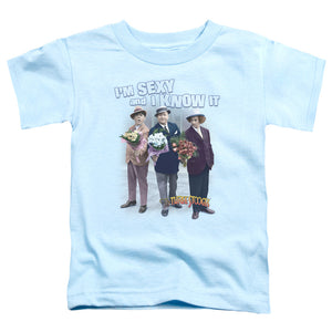 Three Stooges Toddler T-Shirt Sexy and I Know it Light Blue Tee - Yoga Clothing for You