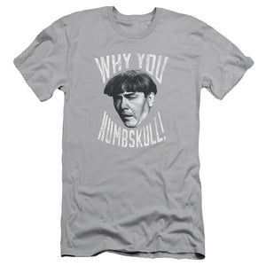 Three Stooges Slim Fit T-Shirt Why You Numbskull Silver Tee - Yoga Clothing for You